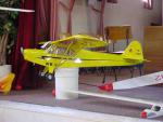 Piper cub