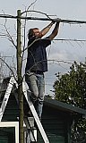 20150413 Leilinden plaatsen