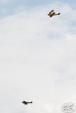 20160809 zomer