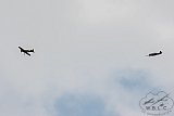 20160809 zomer