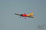 20160809 zomer
