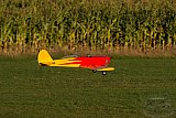 20160809 zomer