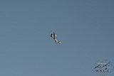 20160809 zomer