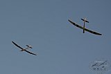 20160809 zomer