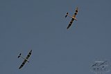 20160809 zomer