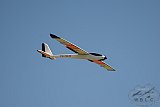 20160809 zomer
