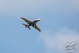 20160809 zomer