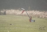 20161023 Fun Zweef