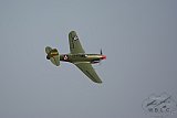 20160809 zomer