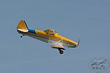 20160809 zomer