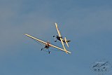 20160809 zomer