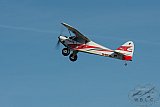 20160809 zomer