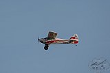 20160809 zomer