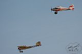 20160809 zomer