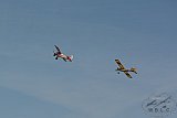 20160809 zomer