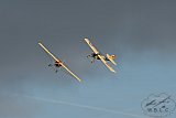 20160809 zomer