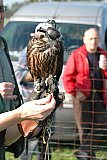 2007 Funzweef deel2