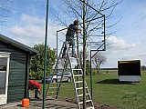 20150413 Leilinden plaatsen