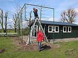 20150413 Leilinden plaatsen