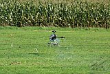 2008 Funheli