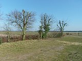 20160312 Snoeidag