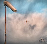 20160809 zomer
