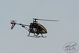 20200910_Zomer
