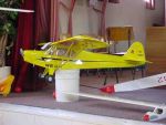 Piper cub